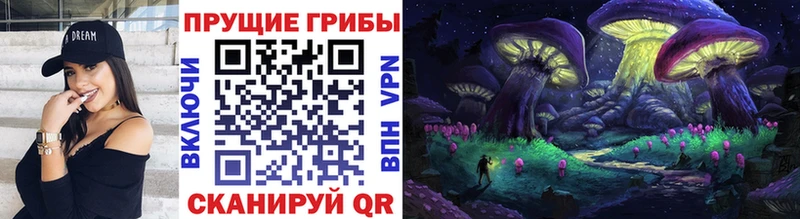 Купить где  Кущёвская  Псилоцибиновые грибы Psilocybine cubensis 